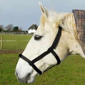 Rhinegold Field Safe Headcollar