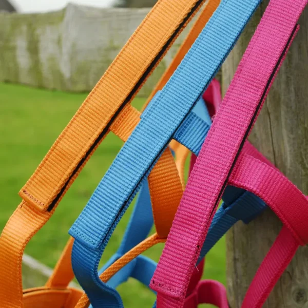 Rhinegold Field Safe Headcollar Colours