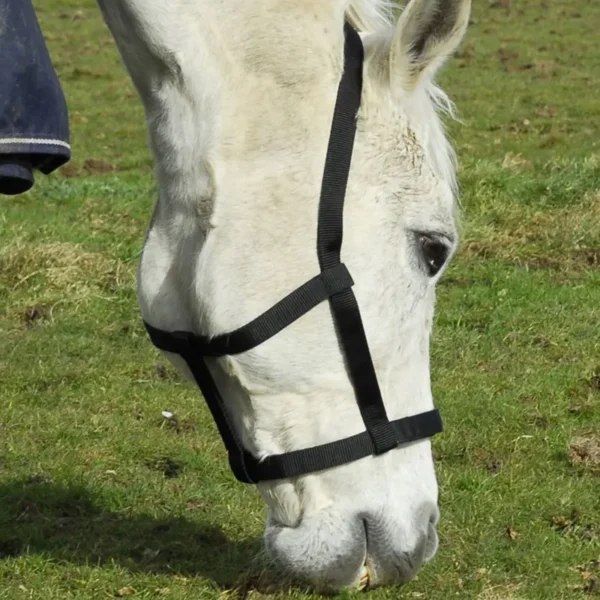 Rhinegold Field Safe Headcollar Underside