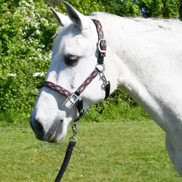 Rhinegold Padded Diamond Pattern Headcollar And Lead Rope Set Black