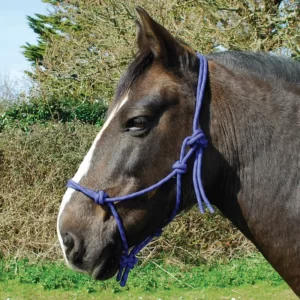 Rhinegold Rope Halter