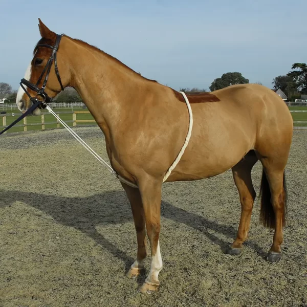 Rhinegold Soft Lunge Aid