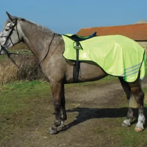 Rhinegold 3/4 Length Hi-Vis ride on rug on a horse