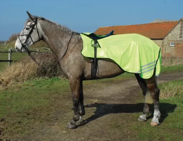 Rhinegold 3/4 Length Hi-Vis ride on rug on a horse