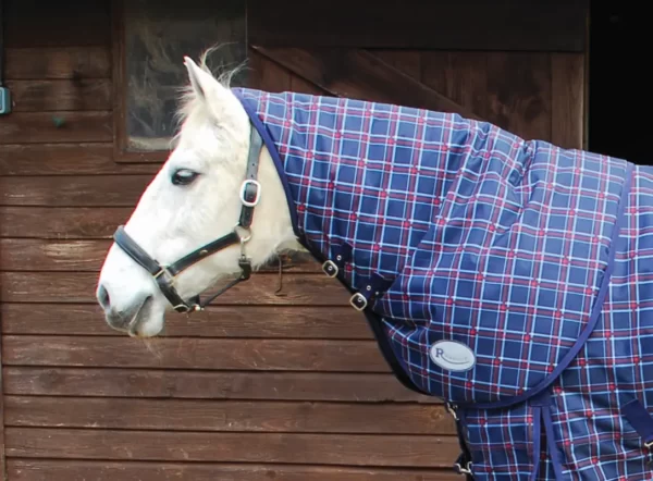 Rhinegold Zeus Neck Cover on a white horse