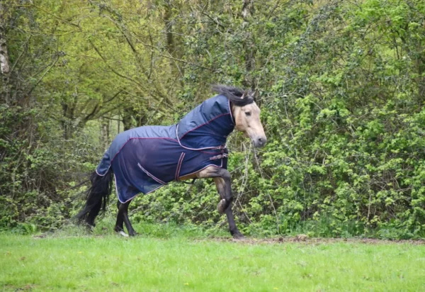 Rhinegold Mombasa Waterproof Topline Fly Rug Navy