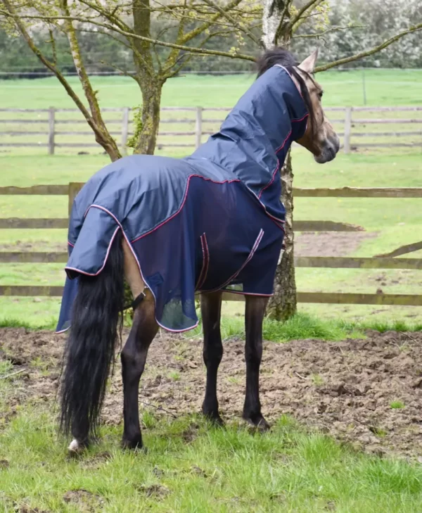 Rhinegold Mombasa Waterproof Topline Fly Rug Navy Rear