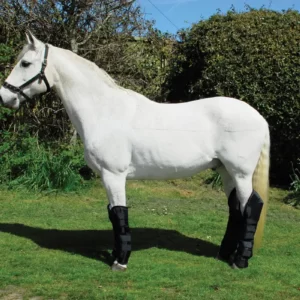 Rhinegold Full Length Travel Boots