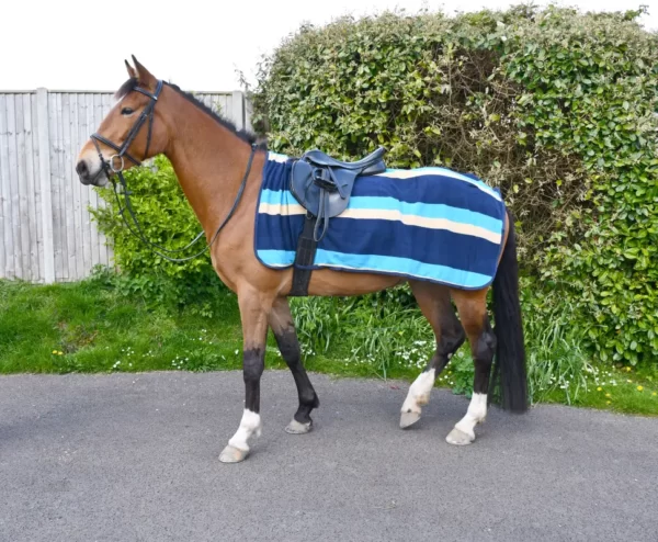 Rhinegold Fleece 3/4 Ride-On Rug - Turquoise