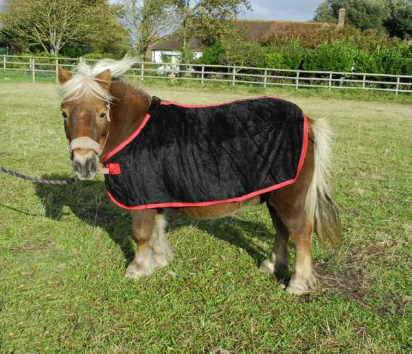 Small Pony Coral Fleece Rug