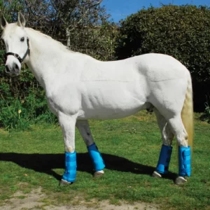 Rhinegold Half Travel Boots Turquoise