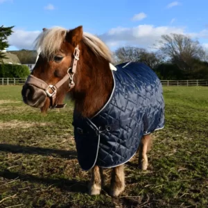 Rhinegold Mini Texas Diamond Stable Quilted Rug