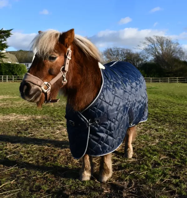 Rhinegold Mini Texas Diamond Stable Quilted Rug