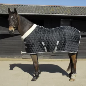 Rhinegold Detroit Hexagon Stable Quilted Rug