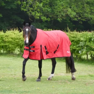 Rhinegold Breathable Konig Outdoor Rug Red