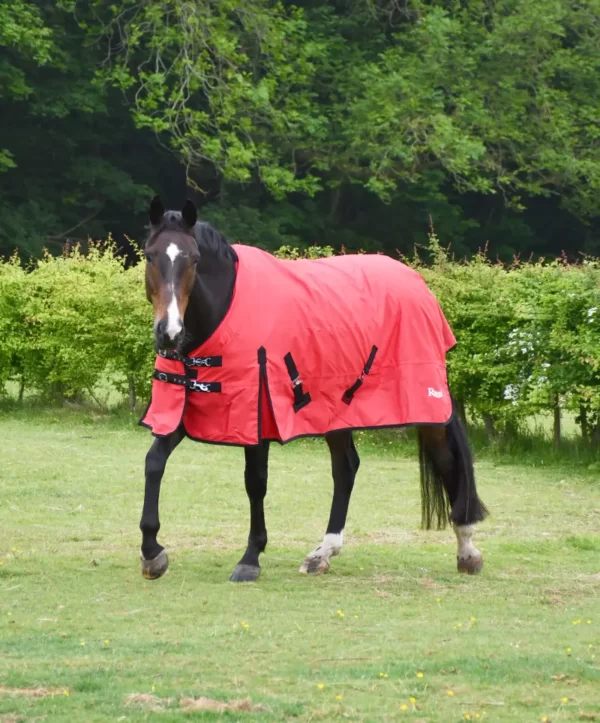 Rhinegold Breathable Konig Outdoor Rug Red