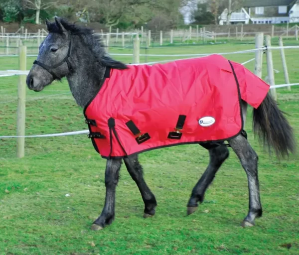 Rhinegold Konig Small Pony/Foal Outdoor Rug Red