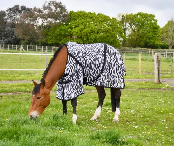 Rhinegold Zebra Fly Rug