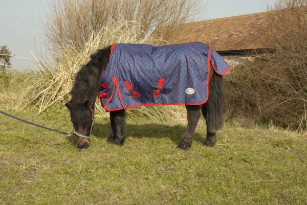 Rhinegold Dottie Torrent Outdoor Rug For Small Ponies