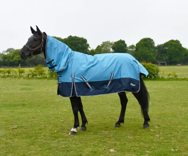 Rhinegold Torrent Full Neck Combo Outdoor Rug Navy/Sky