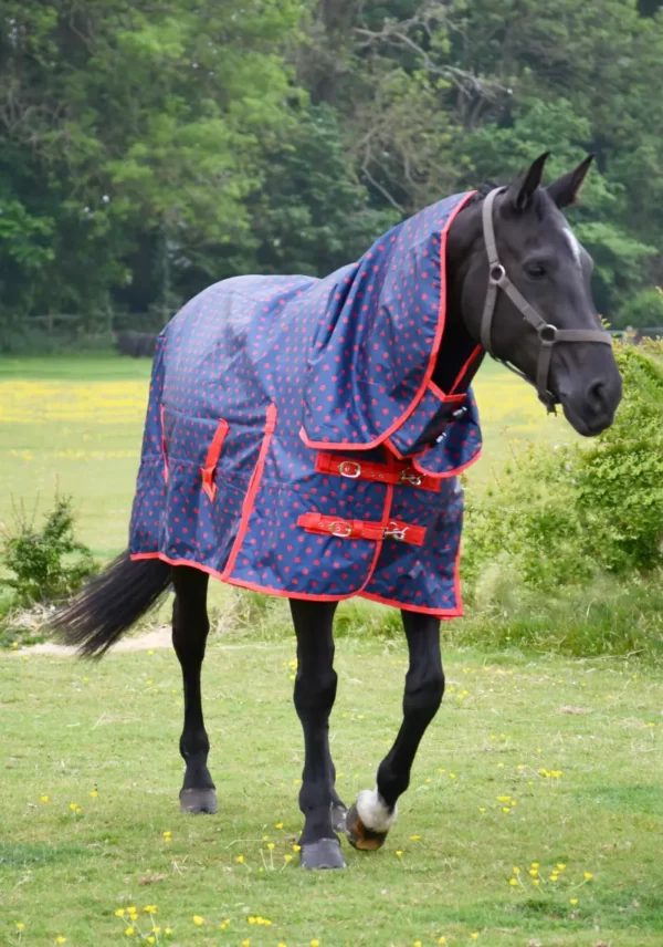 Rhinegold Torrent Full Neck Combo Outdoor Rug Navy/Red
