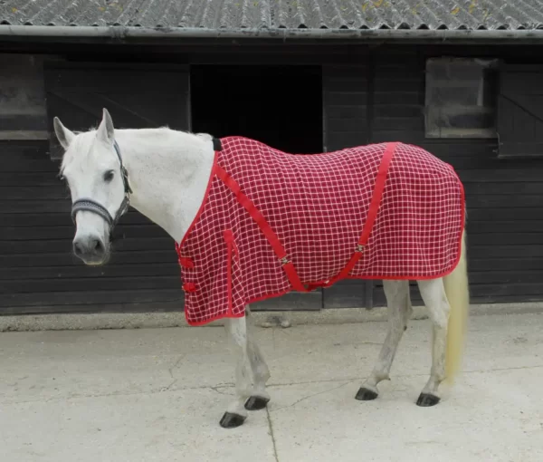 Rhinegold Cooler Rug Red