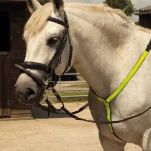 Harlequin Reflective Martingale