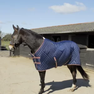 Rhinegold Dallas Chevron Stable Quilted Rug