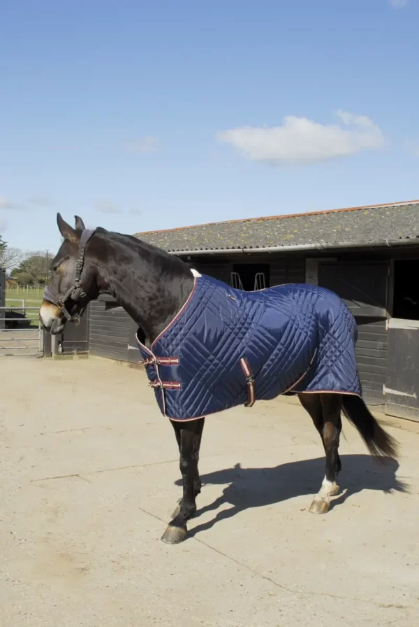 Rhinegold Dallas Chevron Stable Quilted Rug